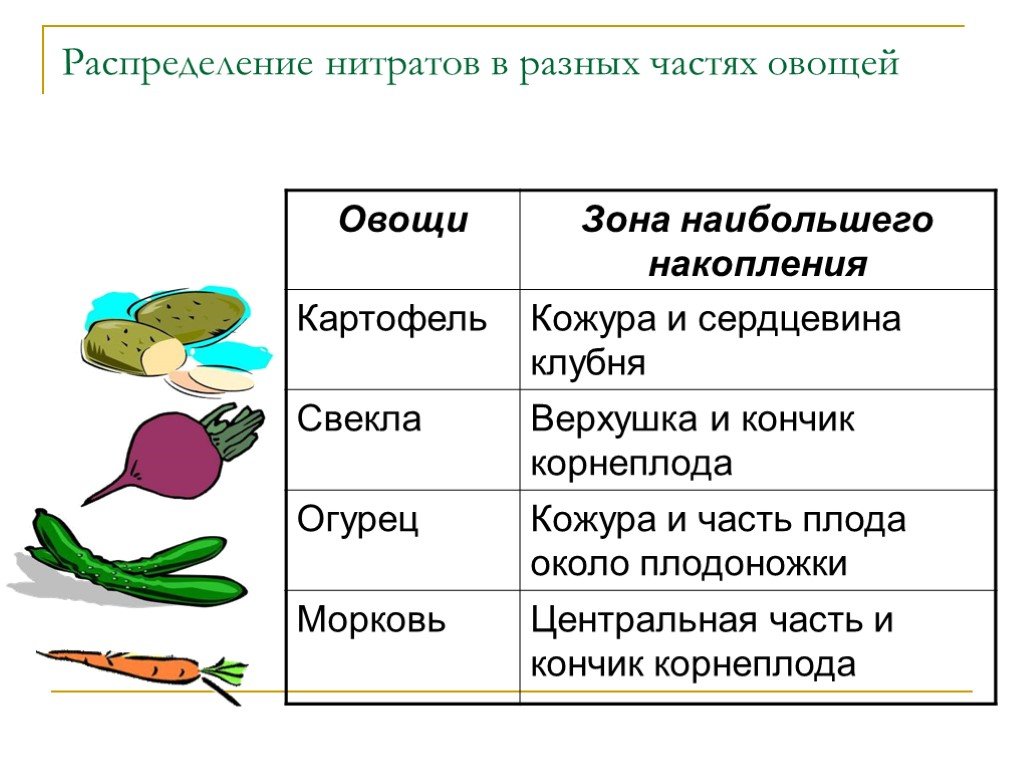 Содержание нитратов в овощах. Распределение нитратов в овощах. Нитраты в овощах и фруктах. Гденакапливаются Нитраи.