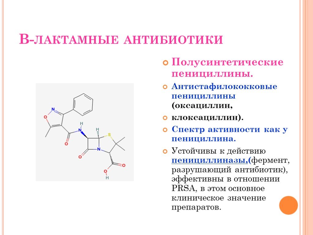 Природные антибиотики проект