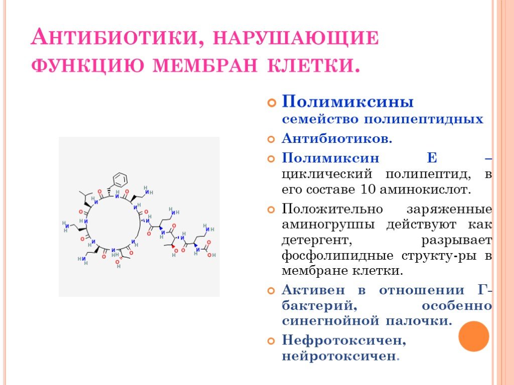 Антибиотики проект по химии