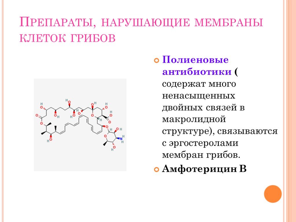 Антибиотики проект по химии