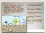 Круговорот азота - это пример саморегулирующегося цикла с большим резервным фондом в атмосфере. Воздух, на 78% состоящий из азота, представляет собой крупнейший "резервуар" и одновременно, вследствие своей малой химической активности, - "предохранительный клапан" системы. Азот по