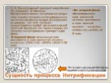 С. Н. Виноградский-русский микробиолог . Он отказался от обычных бактериологических питательных сред и стал изучать процесс нитрификации на чисто минеральных средах. В результате он доказал, что этот процесс осуществляется особой физиологической группой бактерий. Он также показал, что процесс нитриф