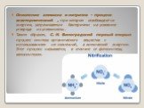 Окисление аммиака и нитритов - процесс экзотермический , при котором освобождается энергия, затрачиваемая бактериями на усвоение углерода из углекислоты. Таким образом, С. Н. Виноградский первый открыл процесс синтеза органического вещества с использованием не солнечной, а химической энергии. Этот п