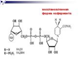 восстановленная форма кофермента