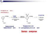 Ароматический пиридиниевый цикл. Неароматический 1,4 –дигидропиридиновый цикл Запас энергии. четвертичная соль никотинамида