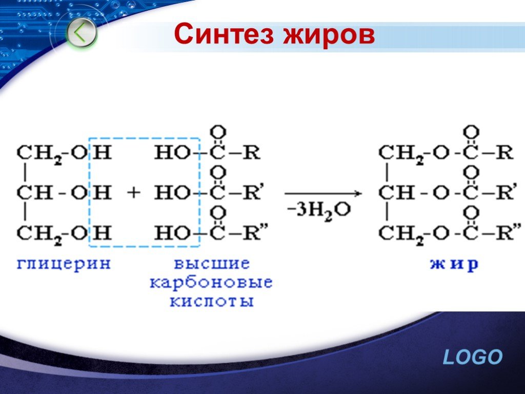 Синтез жиров. Синтез сложных жиров. Жиры синтезируются в. Синтез жиров из глицерина.