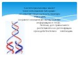 Синтез нуклеиновых кислот тоже невозможен без хрома – он отвечает за целостность структуры РНК и ДНК, сохраняя неизменной наследственную информацию в генах. Поэтому для правильного роста тканей и их регенерации хром действительно необходим.