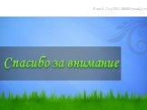 Спасибо за внимание. E-mail: Lex2014-2008@yandex.ru