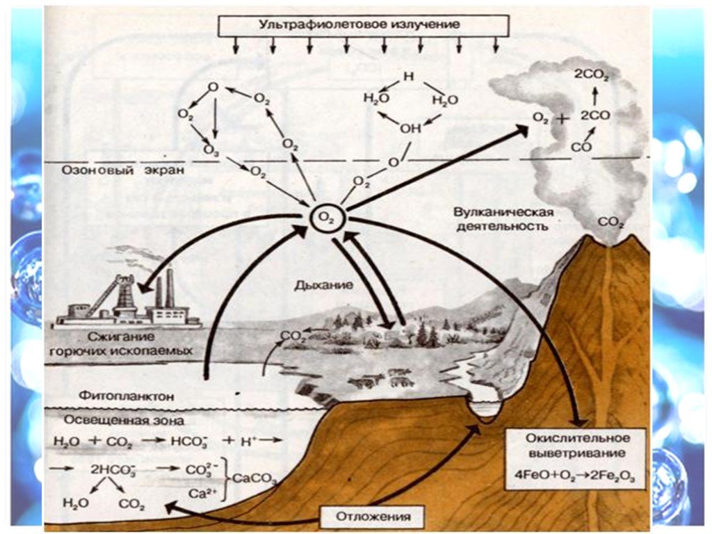 Поступление кислорода в воду. Круговорот кислорода (по е. а. Криксунову и др., 1995). Круговорот кислорода схема. Круговорот кислорода схема химия. Круговорот кислорода в биосфере.