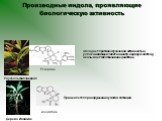 обладает противоопухолевой активностью, успокаивающе влияет на центр. нервную систему, оказывает гипотензивное действие. Рауфольфия змеиная. иохимбин Дерево Йохимбе Резерпин. Применяется при нарушении мужской потенции