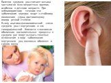Болезни среднего уха считают весьма частыми во всех возрастных группах, особенно в детском возрасте. При неблагоприятном течении эти заболевания нередко ведут к стойкому понижению слуха, достигающему иногда резкой степени. В силу анатомо-физиологической связи среднего уха с внутренним и его топограф