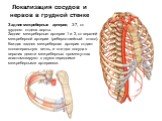 Локализация сосудов и нервов в грудной стенке. Задние межреберные артерии, 3-7, от грудного отдела аорты. Задние межреберные артерии 1 и 2, от верхней межреберной артерии (реберно-шейный ствол). Каждая задняя межреберная артерия отдает коллатеральную ветвь, и эти два сосуда в верхних девяти межребер