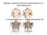 Формы грудной клетки в зависимости от телосложения