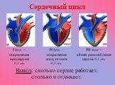 Сердечный цикл. I фаза – сокращение предсердий 0,1 сек. II фаза – сокращение желудочков 0,3 сек. III фаза – общее расслабление сердца 0,4 сек. Вывод: сколько сердце работает, столько и отдыхает.