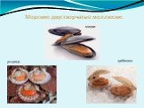 Морские двустворчатые моллюски: мидии гребешки устрица