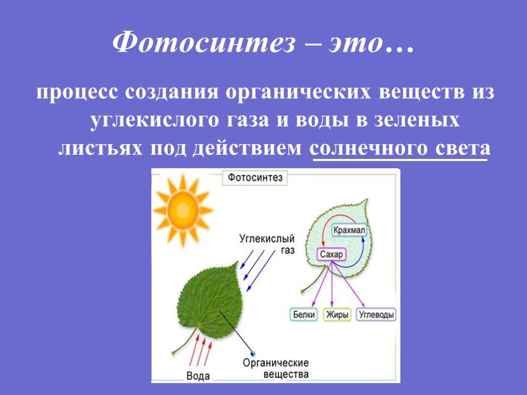 Для образования органических веществ растениям необходима энергия. Фотосинтез. Схема фотосинтеза у растений. Фотосинтез органические вещества. Фотосинтез это в биологии.