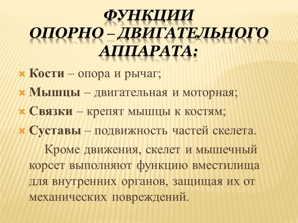 Выполняет опорную функцию. Функции опорнодвигательеоно аппарата. Функции опорно-двигательного аппарата. Унции опорно двигательная. Значение опорно-двигательного аппарата.