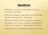 Вывод: Мышцы и скелет составляют единую опорную систему. Работая, мышцы действуют на кости как рычаг, заставляя их двигаться. Приток питательных веществ к мышцам вызывает не только развитие мышечной массы, но и рост и укрепление скелета. Упражнения повышают мышечный тонус.