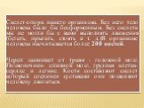 Скелет-опора нашего организма. Без него тело человека было бы бесформенным. Без скелета мы не могли бы с вами выполнять движения (бегать, прыгать, стоять и т. д.)В организме человека насчитывается более 200 костей. Череп защищает от травм - головной мозг. Позвоночник- спинной мозг, грудная клетка-се