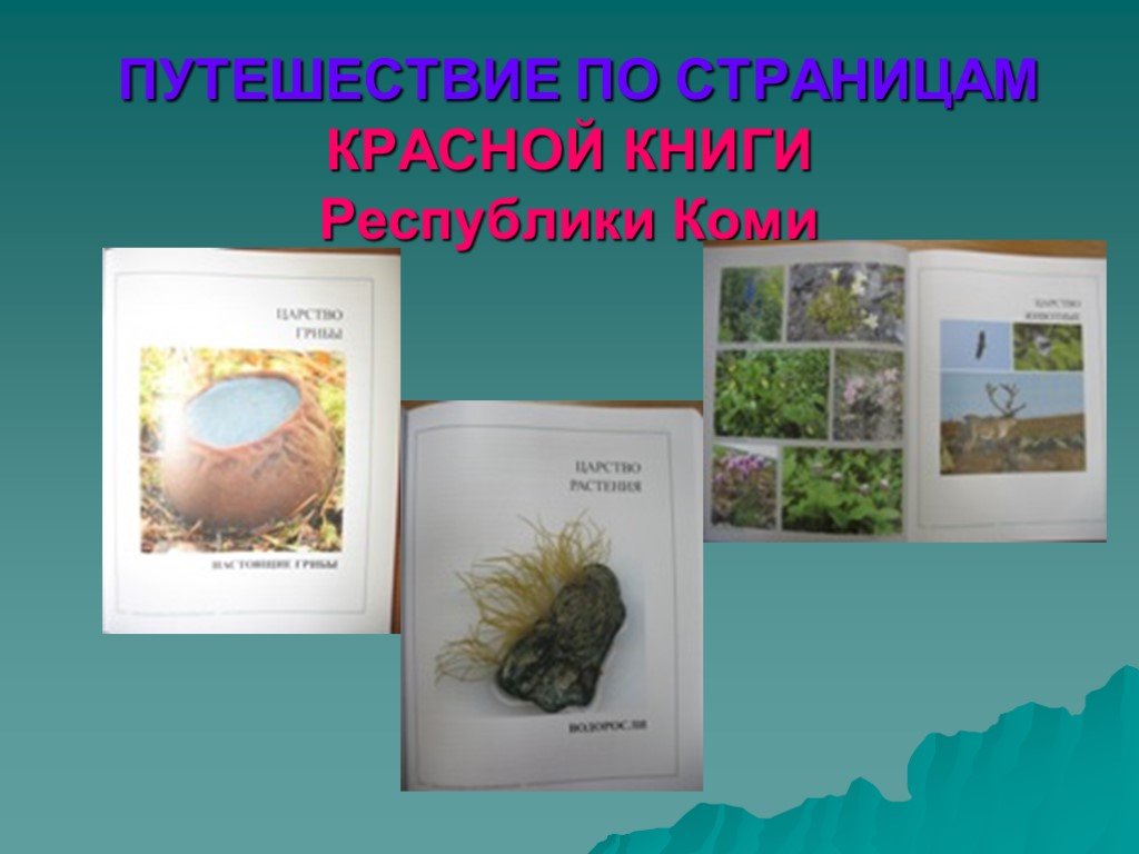 Красная книга республики коми презентация