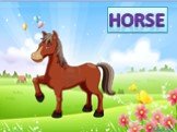 hORSE