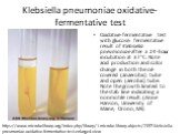Klebsiella pneumoniae oxidative-fermentative test. Oxidative-fermentative test with glucose: fermentative result of Klebsiella pneumoniae after a 24-hour incubation at 37°C. Note acid production and color change in both the oil-covered (anaerobic) tube and open (aerobic) tube. Note the growth limite