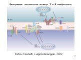 Fabio Candotti, Luigi Notarangelo, 2002. Экспрессия сигнальных молекул Т и В лимфоцитов