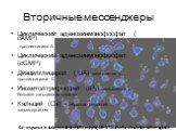 Вторичные мессенджеры. Циклический аденозинмонофосфат ( cAMP) протеинкиназа А Циклический аденозинмонофосфат (cGMP) Диацилглицерол ( DA) связывается с протеинкиназой С Инозитолтрифосфат (IP3) связывается с белками кальциевых каналов Кальций (Ca) – обратная регуляция кальмодулином. Ca2+ response in s