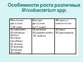 Особенности роста различных Micobacterium spp. М. chelonei