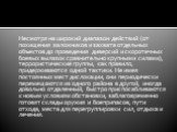 Несмотря на широкий диапазон действий (от похищения заложников и захвата отдельных объектов до проведения диверсий и скоротечных боевых вылазок сравнительно крупными силами), террористические группы, как правило, придерживаются одной тактики. Не имея постоянных мест дислокации, они периодически пере