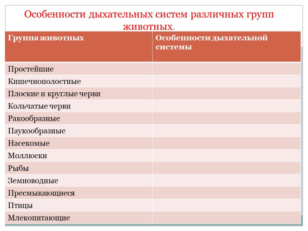 Таблица класс органы дыхания. Органы дыхания и газообмен 7 класс таблица. Особенности дыхательных систем различных групп животных. Особенности дыхательной системы животных. Органы дыхания у разных групп животных.