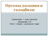 Органы дыхания и газообмен. Презентация к уроку биологии Медведева Н.В МБОУ «Ликино - Дулевский лицей