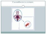 Газообмен в легких