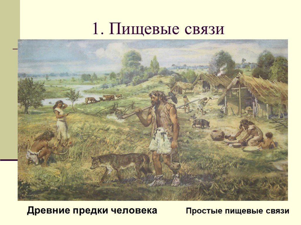 Предки наших предков само. Зарождение земледелия и скотоводства. Появление земледелия. Земледелие зародилось. Возникновение земледелия и скотоводства 5 класс.