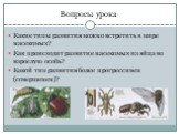 Какие типы развития можно встретить в мире насекомых? Как происходит развитие насекомых из яйца во взрослую особь? Какой тип развития более прогрессивен (совершенен)?