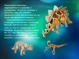 Птицетазовые динозавры подразделяются на двуногих и четвероногих. Разные по величине и внешнему виду, они питались преимущественно растительностью, но среди них появляются и хищники. К растительноядным относятся стегозавры. У них имелось по два ряда больших пластин на спине и парные шипы на хвосте, 