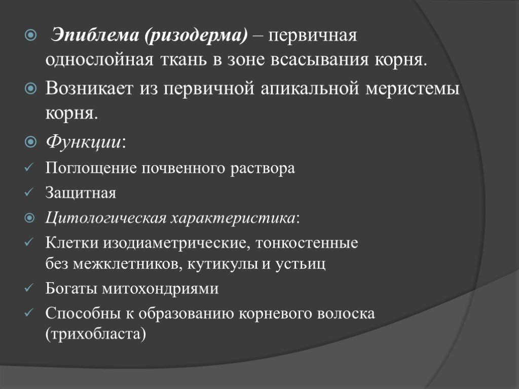 Эпиблема корня. Эпиблема ризодерма. Эпиблема строение и функции. Ткани растений эпиблема. Эпиблема это в биологии.