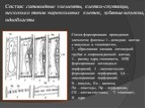 Состав: ситовидные элементы, клетки-спутницы, несколько типов паренхимных клеток, лубяные волокна, идиобласты. Схема формирования проводящих элементов флоэмы: 1 – исходная клетка с вакуолью и тонопластом, 2 – образование членика ситовидной трубки и сопровождающей клетки, 3 – распад ядра, тонопласта,