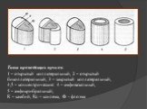 Типы проводящих пучков: 1 – открытый коллатеральный, 2 – открытый биколлатеральный, 3 – закрытый коллатеральный, 4,5 – концентрические: 4 – амфивазальный, 5 – амфикрибральный; К – камбий, Кс – ксилема, Ф - флоэма