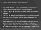 6. Основные паренхимные ткани. Основные ткани – мало специализированные ткани, составляющие большую часть тела растения. Присутствуют во всех вегетативных и репродуктивных органах. Состоят из живых паренхимных клеток с первичной КС Часть клеток сохраняет слабую меристематическую активность. Классифи