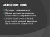 Водоносная ткань. Функция – запасание воды Клетки крупные, паренхимные, тонкостенные, содержащие слизи Локализация: стебли и листья суккулентов, растений засоленных местообитаний, листья злаков