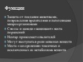 Функции. Защита от поедания животными, повреждения вредителями и патогенными микроорганизмами Смолы и камеди «защищают» места поранений Нектар привлекает опылителей Могут выступать в роли запасных веществ Места «захоронения» токсичных и исключенных из метаболизма веществ