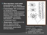 Вместилища выделений разнообразны по форме, величине и происхождению: Схизогенные ВВ возникают из межклетников, заполненных выделенными веществами и окруженных живыми клетками эпителия (смолоходы сосновых, аралиевых, зонтичных, сложноцветных) Лизигенные образуются на месте групп клеток, распадающихс