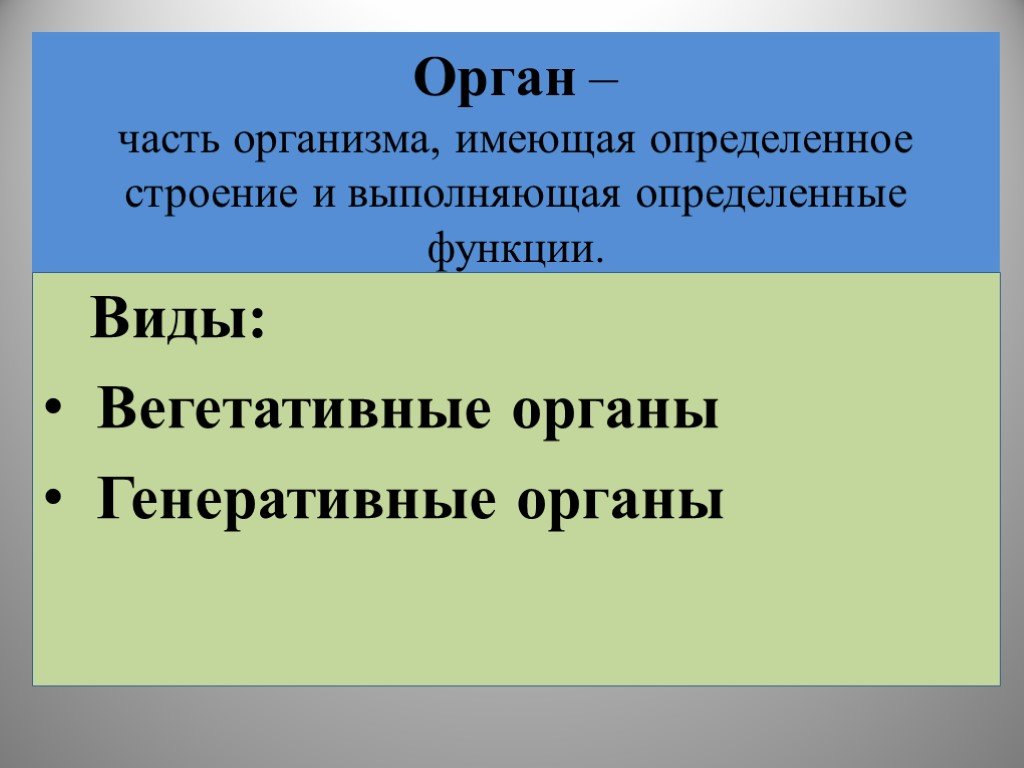 Орган определение. Орган это в биологии. Орган это в биологии кратко. По биологии определении орган. Орган это в биологии 5 класс определение.