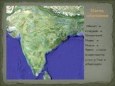 Обитает в Северной и Центральной Индии, в Непале и Бирме, а также в окрестностях устья р. Ганг и в Бангладеш. Места обитания