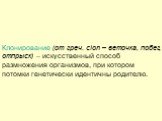 Клонирование (от греч. clon – веточка, побег, отпрыск) – искусственный способ размножения организмов, при котором потомки генетически идентичны родителю.