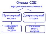 Отделы СДЦ продолговатого мозга. Прессорный отдел. Депрессорный отдел. Повышает тонус сосудов. Снижает тонус сосудов