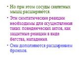 Но при этом сосуды скелетных мышц расширяются. Эти симпатические реакции необходимы для осуществления таких поведенческих актов, как защитные реакции в виде бегства, нападения. Они дополняются расширением бронхов.