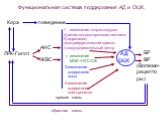 АД ОЦК. БР ВР (Волюмо- рецепто ры). ЛРК-Гипот. АНС ЖВС. изменение тонуса сосудов а) ренин-альдостероновая система; б) адреналин; в)натрийуретический гормон; г) сосудодвигательный центр. 2. изменение МОК =ЧСС∙СВ. 3.изменение содержания воды. 4.изменение содержания электролитов. Кора поведение. Функци