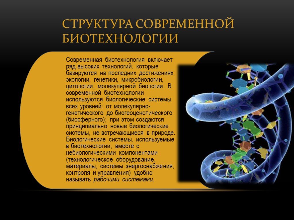 Биотехнология презентация 10 класс
